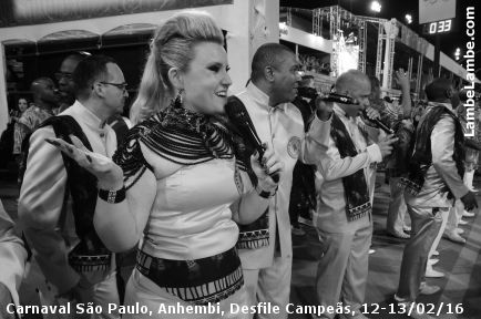 LambeLambe.com - Carnaval So Paulo, Sambdromo Anhembi, Desfile das Campes