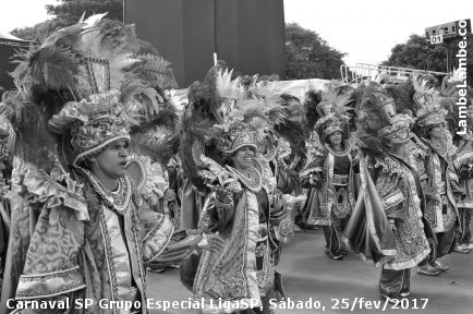 LambeLambe.com - Carnaval SP Grupo Especial LigaSP, Sbado