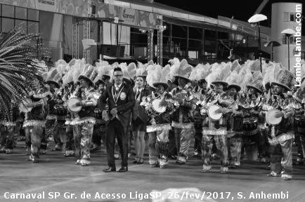 LambeLambe.com - Carnaval SP Grupo de Acesso LigaSP, Domingo