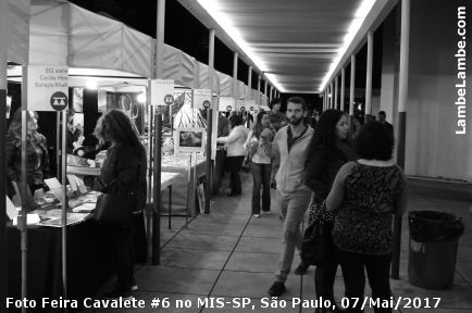 LambeLambe.com - Foto Feira Cavalete #6 no MIS-SP