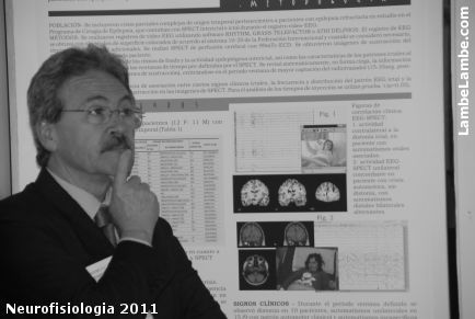 LambeLambe.com - Neurofisiologia 2011